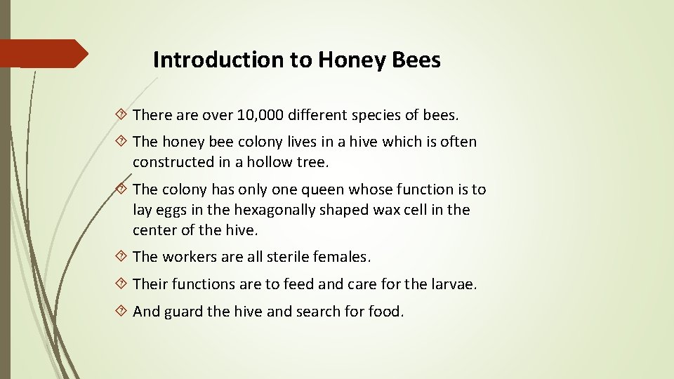 Introduction to Honey Bees There are over 10, 000 different species of bees. The