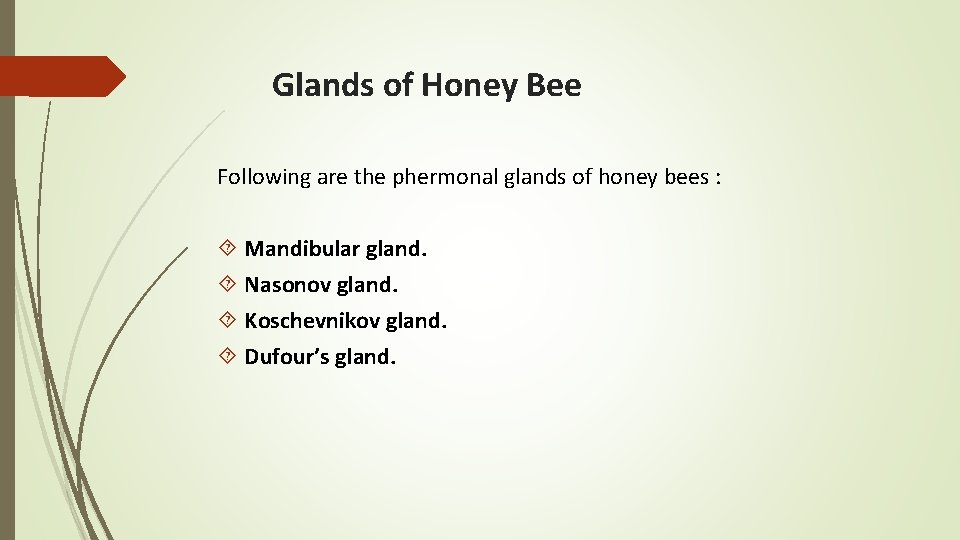 Glands of Honey Bee Following are the phermonal glands of honey bees : Mandibular