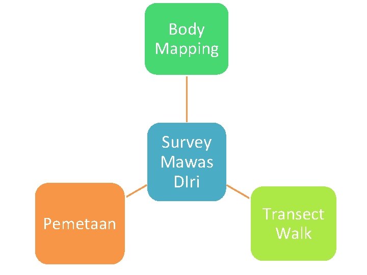 Body Mapping Survey Mawas DIri Pemetaan Transect Walk 