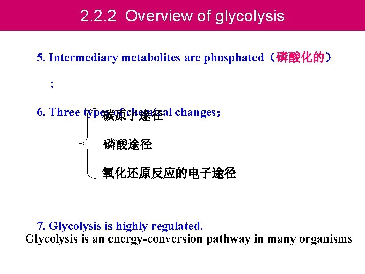 2. 2. 2 Overview of glycolysis 5. Intermediary metabolites are phosphated（磷酸化的） ; 6. Three
