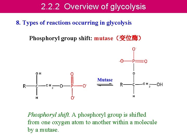 2. 2. 2 Overview of glycolysis 8. Types of reactions occurring in glycolysis Phosphoryl