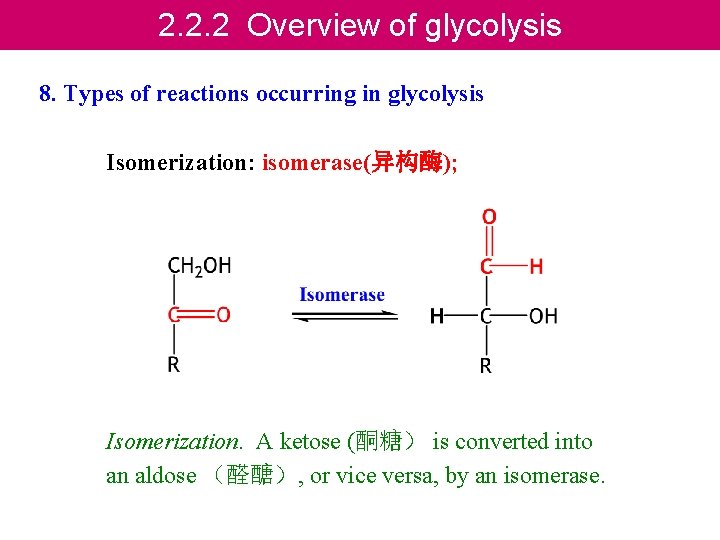 2. 2. 2 Overview of glycolysis 8. Types of reactions occurring in glycolysis Isomerization:
