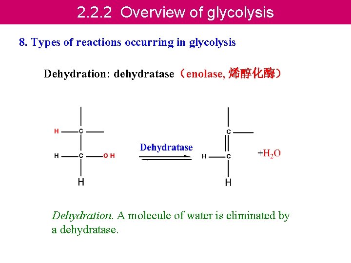 2. 2. 2 Overview of glycolysis 8. Types of reactions occurring in glycolysis Dehydration: