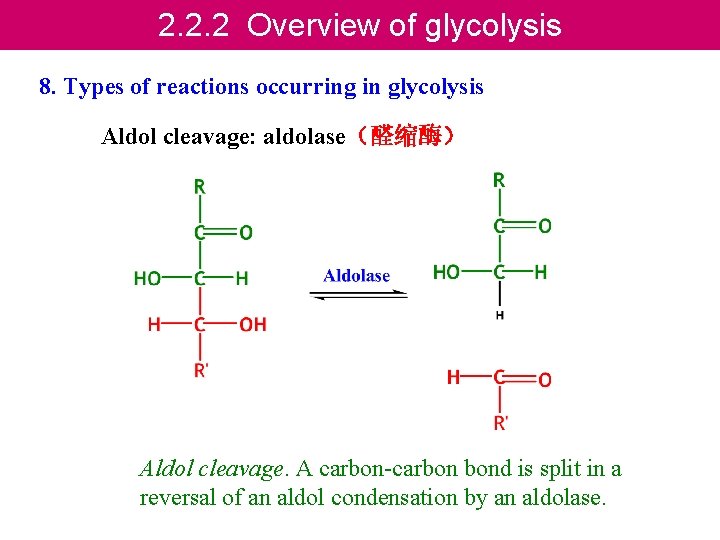 2. 2. 2 Overview of glycolysis 8. Types of reactions occurring in glycolysis Aldol