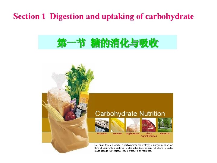Section 1 Digestion and uptaking of carbohydrate 第一节 糖的消化与吸收 