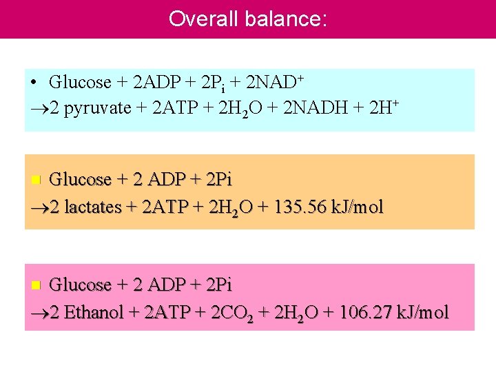 Overall balance: • Glucose + 2 ADP + 2 Pi + 2 NAD+ 2