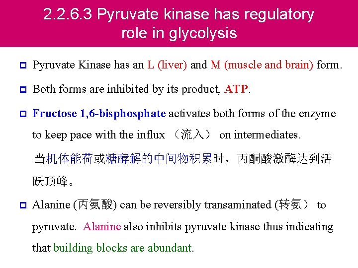 2. 2. 6. 3 Pyruvate kinase has regulatory role in glycolysis p Pyruvate Kinase