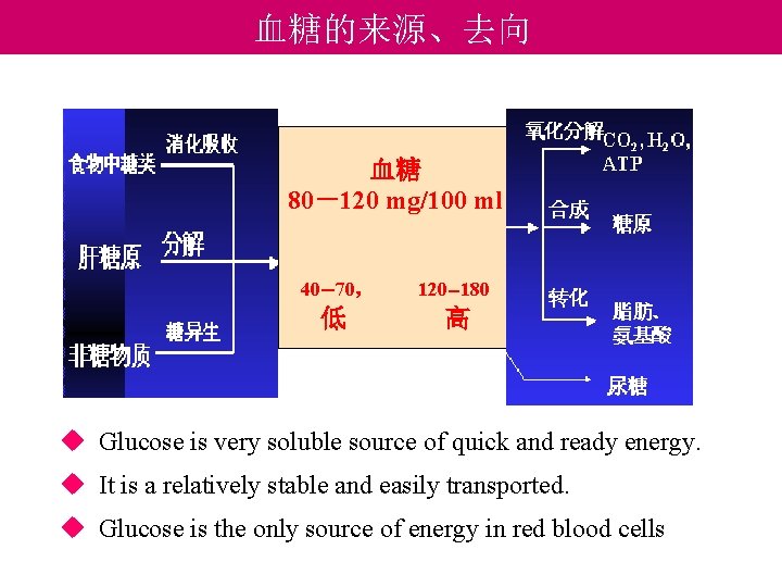 血糖的来源、去向 血糖 80－120 mg/100 ml 40－70， 120－180 低 高 u Glucose is very soluble