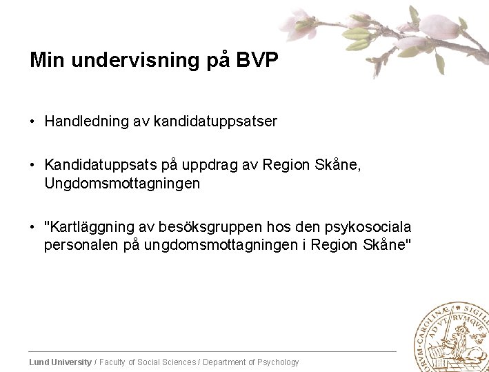 Min undervisning på BVP • Handledning av kandidatuppsatser • Kandidatuppsats på uppdrag av Region