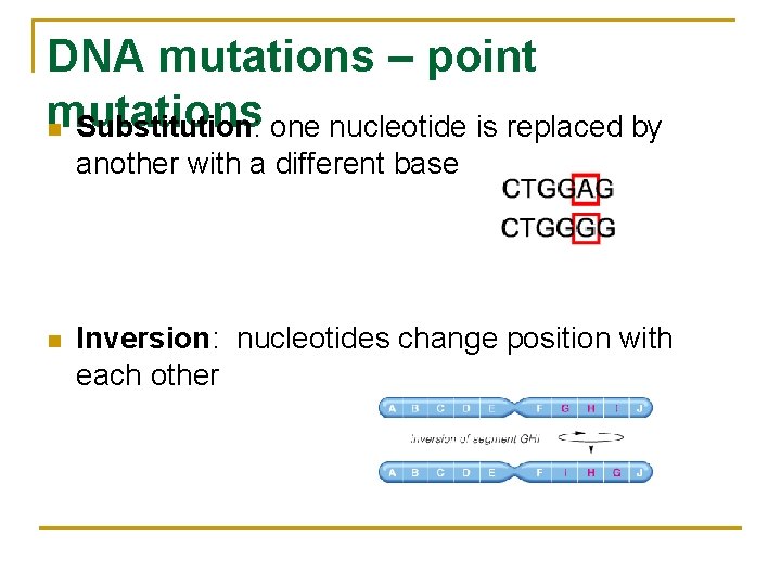 DNA mutations – point mutations n Substitution: one nucleotide is replaced by another with