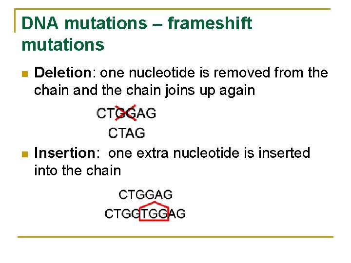 DNA mutations – frameshift mutations n Deletion: one nucleotide is removed from the chain