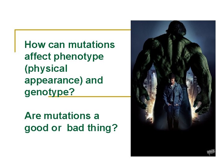 How can mutations affect phenotype (physical appearance) and genotype? Are mutations a good or