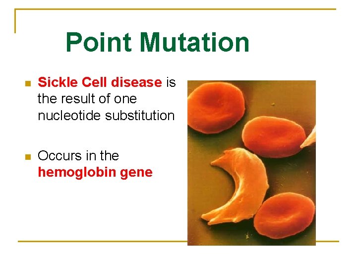 Point Mutation n Sickle Cell disease is the result of one nucleotide substitution n