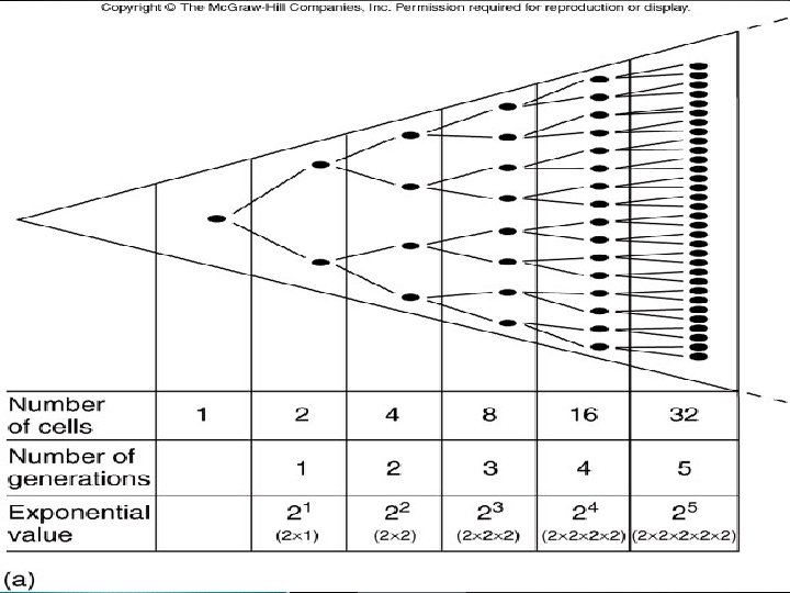 Fig. 7. 14 a 