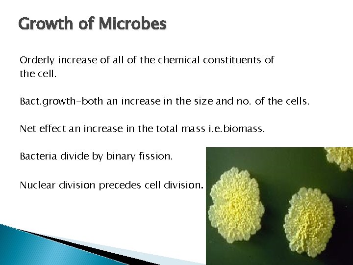 Growth of Microbes Orderly increase of all of the chemical constituents of the cell.
