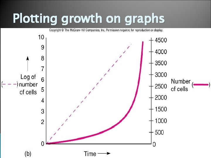 Plotting growth on graphs 