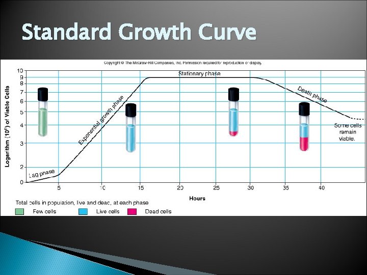 Standard Growth Curve 