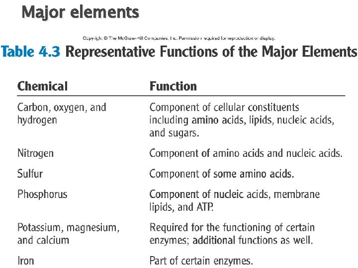 Major elements 