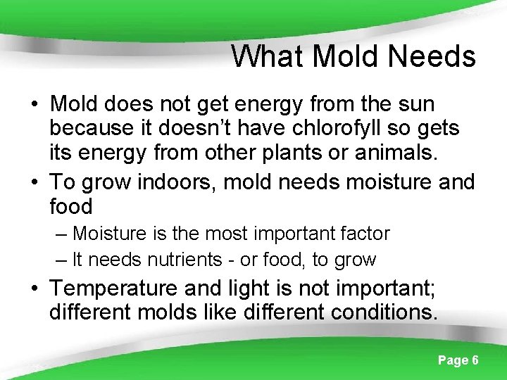What Mold Needs • Mold does not get energy from the sun because it