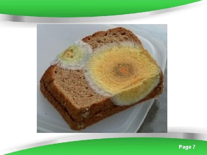 Powerpoint Templates Page 7 