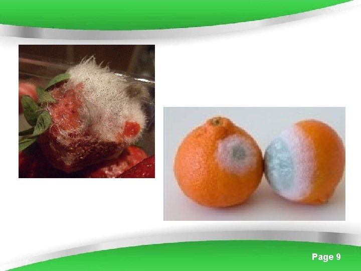 Powerpoint Templates Page 9 