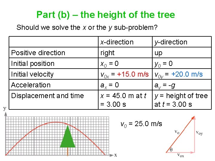 Part (b) – the height of the tree Should we solve the x or Part (b) – the height of the tree Should we solve the x or