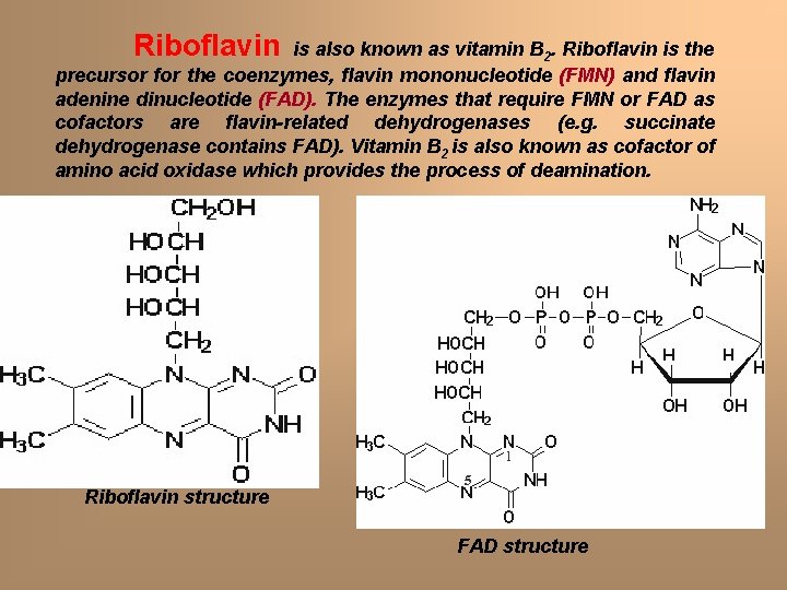 Riboflavin is also known as vitamin B 2. Riboflavin is the precursor for the Riboflavin is also known as vitamin B 2. Riboflavin is the precursor for the