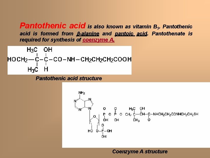 Pantothenic acid is also known as vitamin B 5. Pantothenic acid is formed from Pantothenic acid is also known as vitamin B 5. Pantothenic acid is formed from