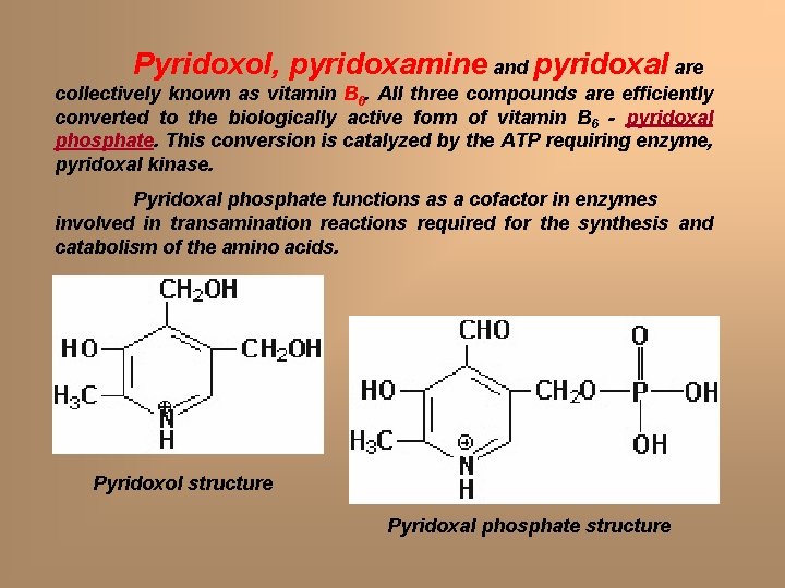 Pyridoxol, pyridoxamine and pyridoxal are collectively known as vitamin B 6. All three compounds Pyridoxol, pyridoxamine and pyridoxal are collectively known as vitamin B 6. All three compounds