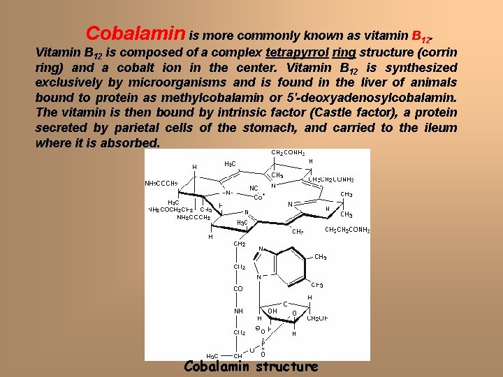 Cobalamin is more commonly known as vitamin B 12. Vitamin B 12 is composed Cobalamin is more commonly known as vitamin B 12. Vitamin B 12 is composed