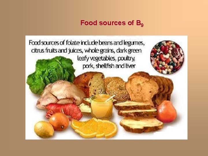 Food sources of B 9 Food sources of B 9