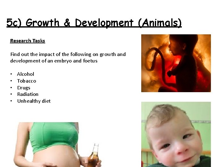 5 c) Growth & Development (Animals) Research Tasks Find out the impact of the