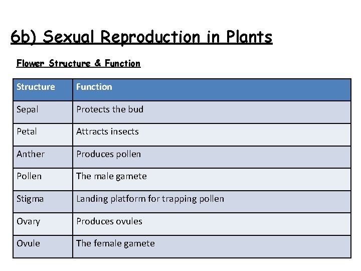 6 b) Sexual Reproduction in Plants Flower Structure & Function Structure Function Sepal Protects