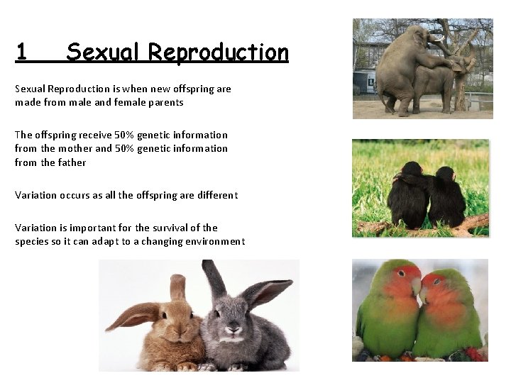 1 Sexual Reproduction is when new offspring are made from male and female parents