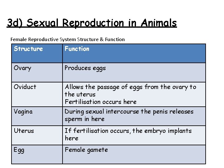 3 d) Sexual Reproduction in Animals Female Reproductive System Structure & Function Structure Function