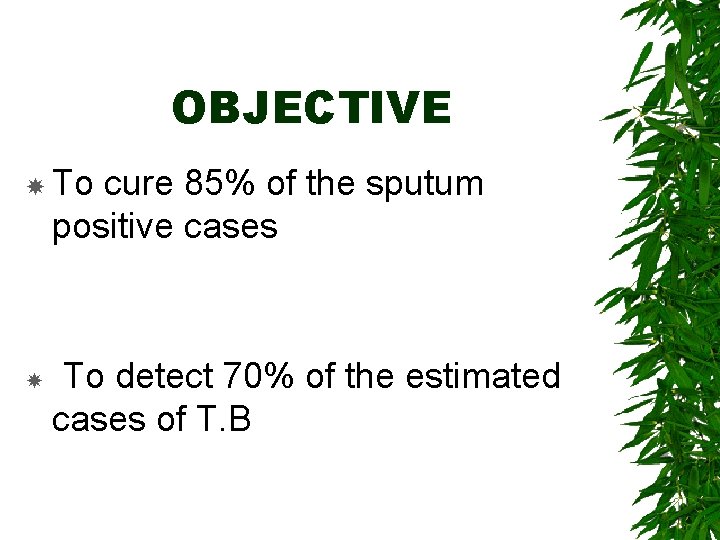 OBJECTIVE To cure 85% of the sputum positive cases To detect 70% of the