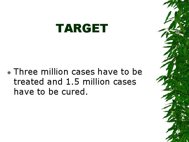 TARGET Three million cases have to be treated and 1. 5 million cases have