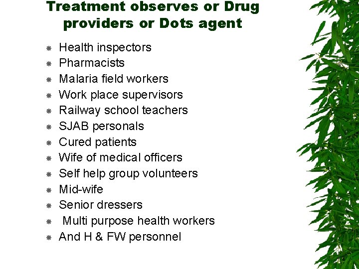 Treatment observes or Drug providers or Dots agent Health inspectors Pharmacists Malaria field workers