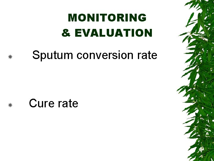 MONITORING & EVALUATION Sputum conversion rate Cure rate 