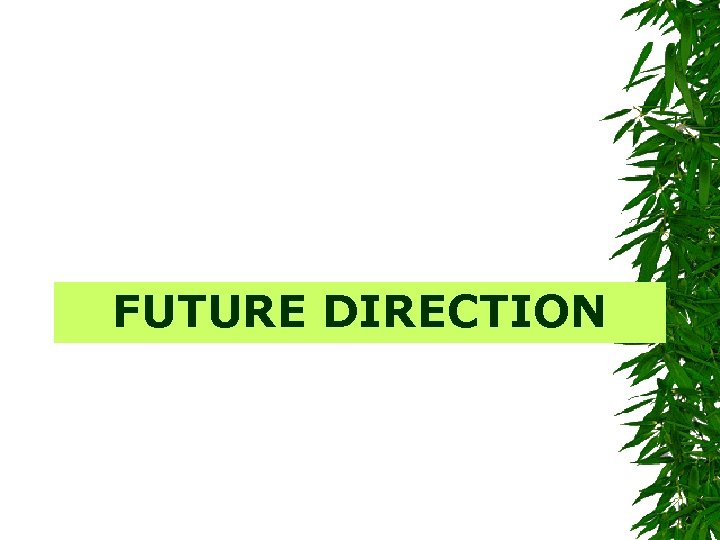 FUTURE DIRECTION 