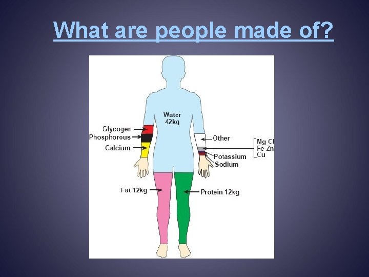 What are people made of? 