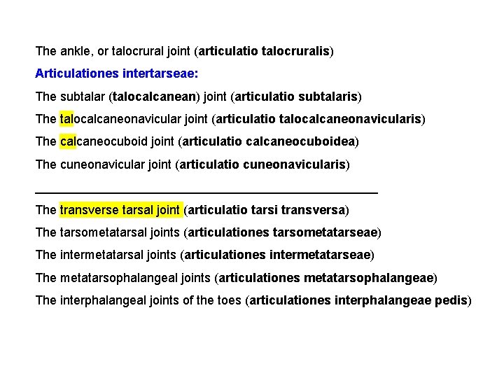 The ankle, or talocrural joint (articulatio talocruralis) Articulationes intertarseae: The subtalar (talocalcanean) joint (articulatio