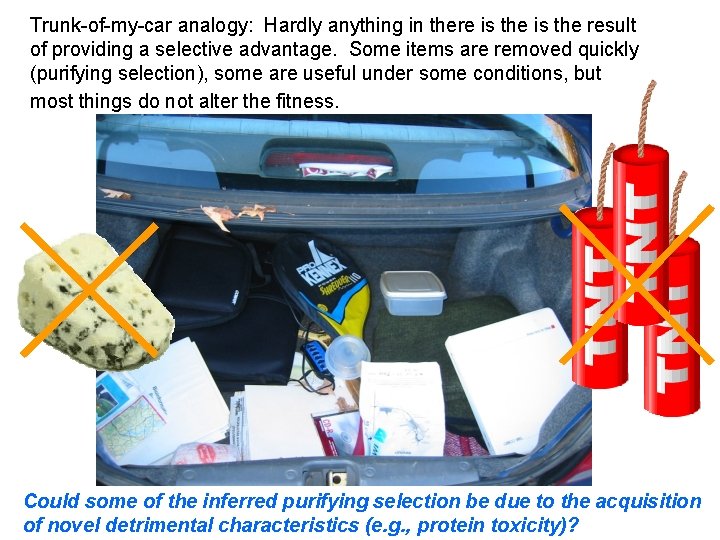 Trunk-of-my-car analogy: Hardly anything in there is the result of providing a selective advantage.