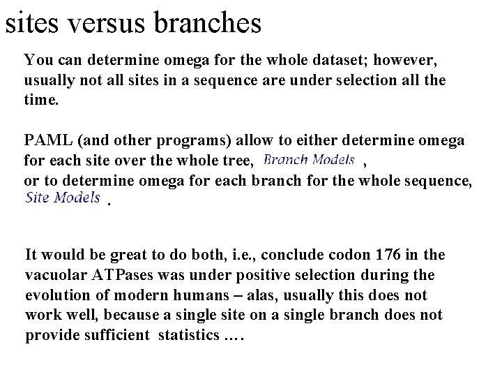 sites versus branches You can determine omega for the whole dataset; however, usually not