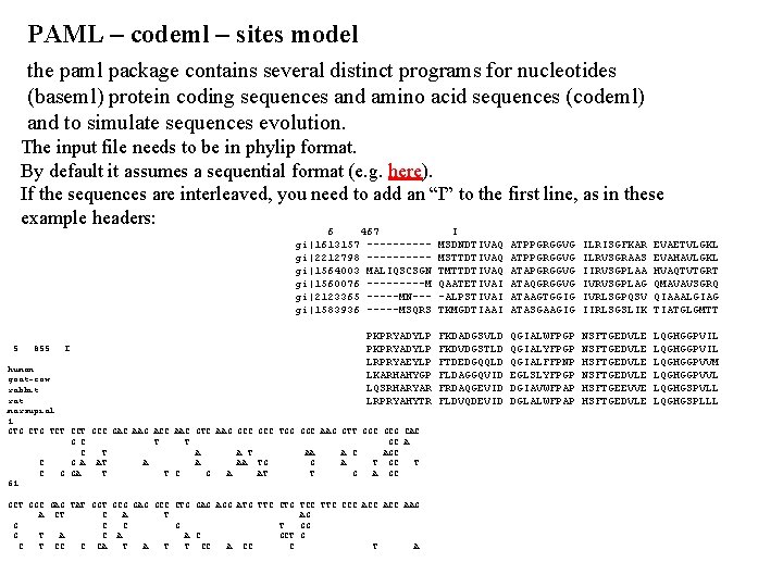 PAML – codeml – sites model the paml package contains several distinct programs for