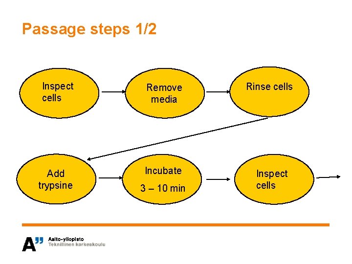 Passage steps 1/2 Inspect cells Remove media Rinse cells Add trypsine Incubate Inspect cells