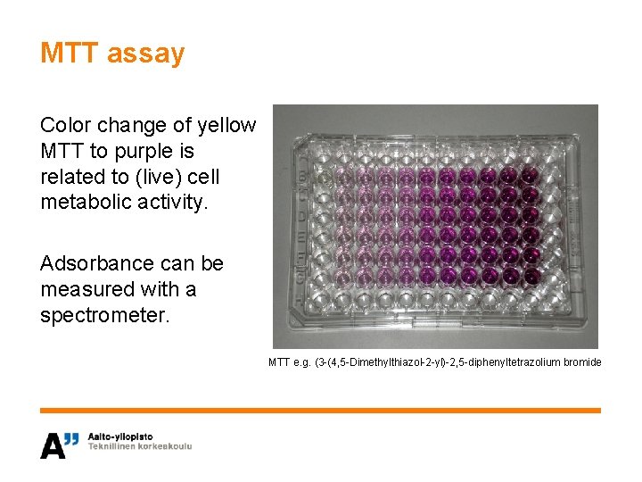 MTT assay Color change of yellow MTT to purple is related to (live) cell