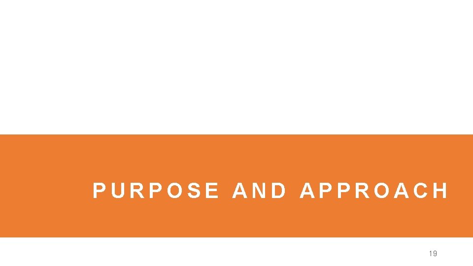 PURPOSE AND APPROACH 19 