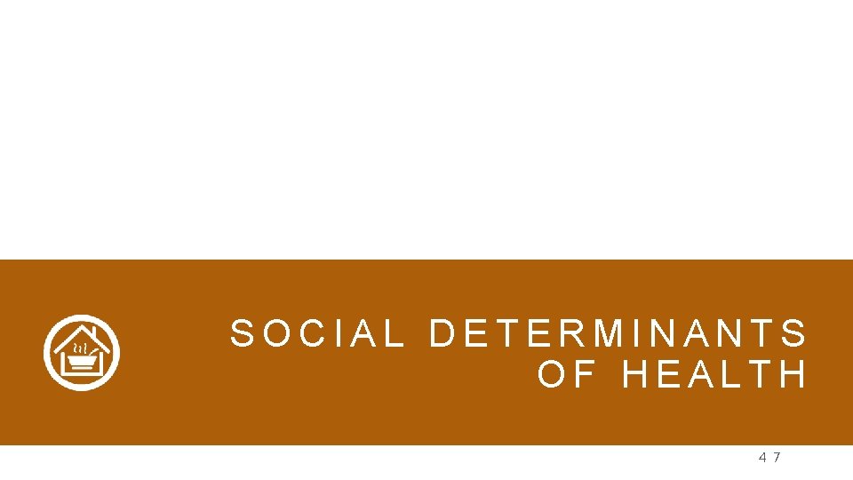 SOCIAL DETERMINANTS OF HEALTH 4 7 