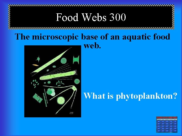Food Webs 300 The microscopic base of an aquatic food web. What is phytoplankton?